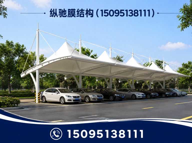 诸城市纵驰膜结构展示图
